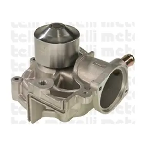 24-0519A METELLI