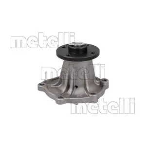 24-0766 METELLI