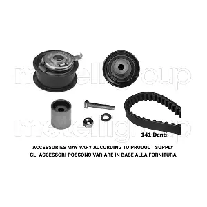29-0076 METELLI