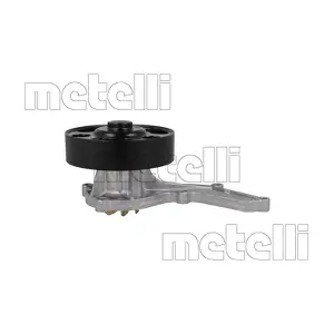 24-1366 METELLI