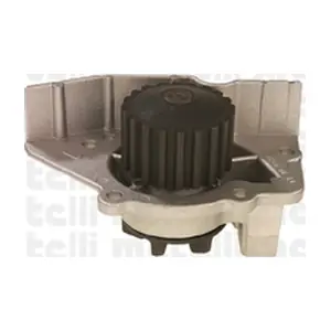 24-0642 METELLI