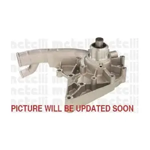 24-0272 METELLI