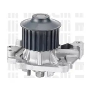 24-0937 METELLI
