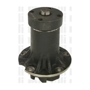 24-0134 METELLI