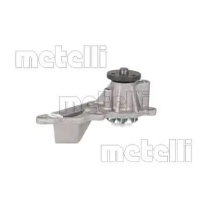 24-1487 METELLI