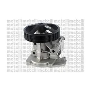 24-1121 METELLI