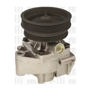 24-0629 METELLI