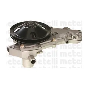 24-0597 METELLI