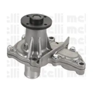 24-0945 METELLI