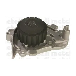 24-0436 METELLI