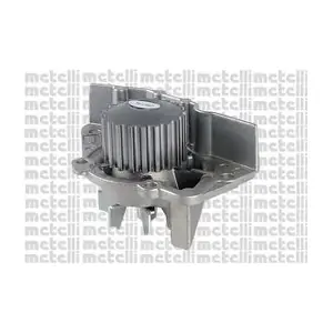 24-1254 METELLI