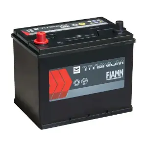 D31X 95 FIAMM