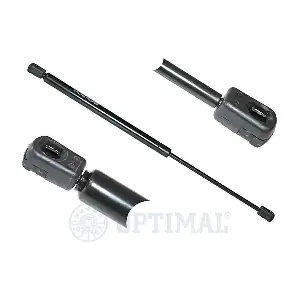 AG-17599 OPTIMAL