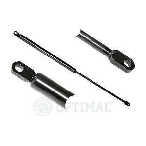 AG-17521 OPTIMAL