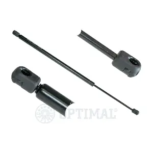 AG-39043 OPTIMAL