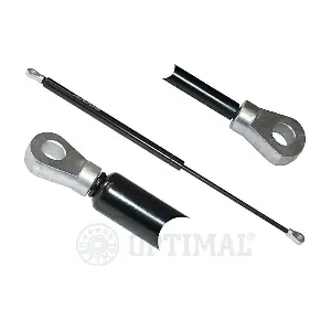 AG17181 OPTIMAL