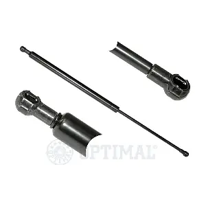AG-17469 OPTIMAL
