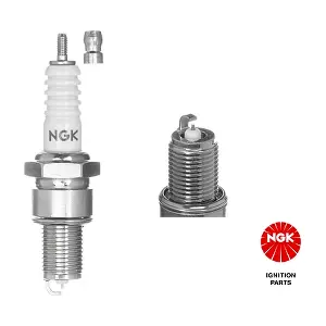 3335 NGK