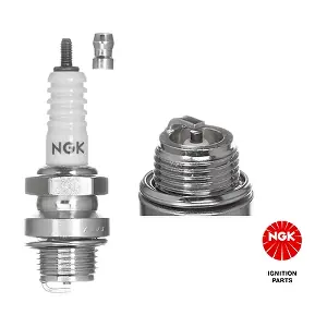 3020 NGK