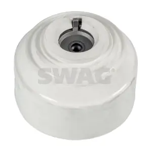 10 13 0089 SWAG