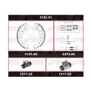 310101 REMSA