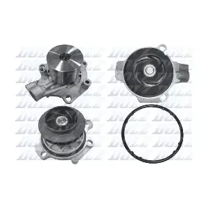 A255 DOLZ