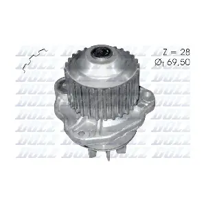 C135 DOLZ