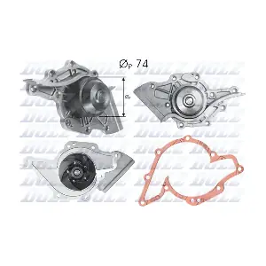 A175 DOLZ