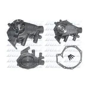 D206 DOLZ