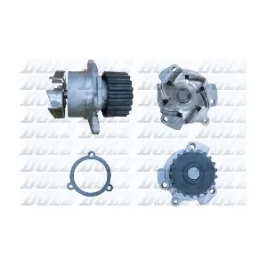 L142 DOLZ