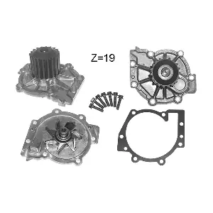 V211 DOLZ