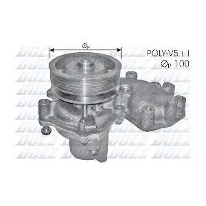 S165 DOLZ