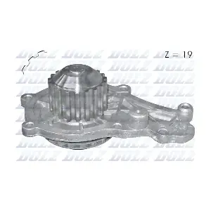 C129 DOLZ