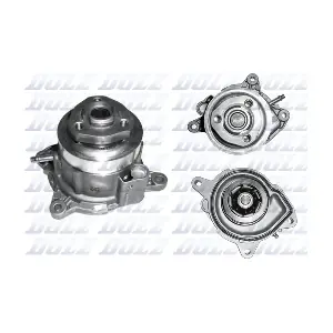 A215V DOLZ