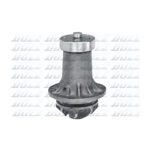 M183 DOLZ