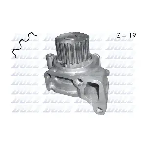 M244 DOLZ