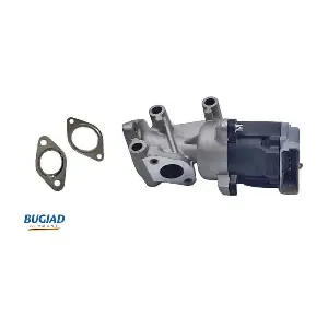 BGR13066 BUGIAD
