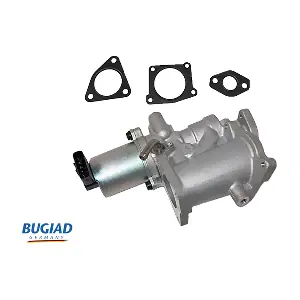 BGR13093 BUGIAD