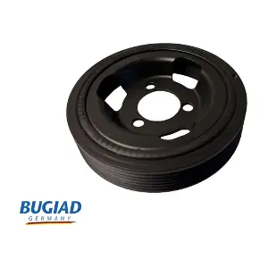 BCP16724 BUGIAD