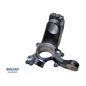 BSP20012 BUGIAD