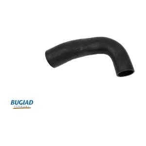 88625 BUGIAD
