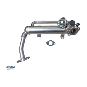 BGR13105 BUGIAD