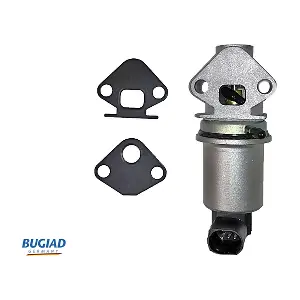 BGR13004 BUGIAD