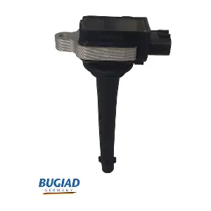 BIC19806 BUGIAD