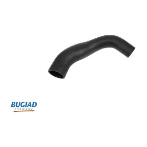 88619 BUGIAD