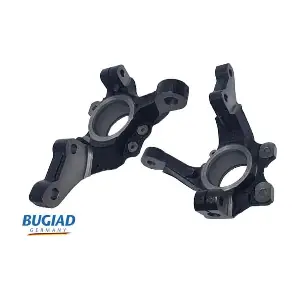 BSP25160 BUGIAD