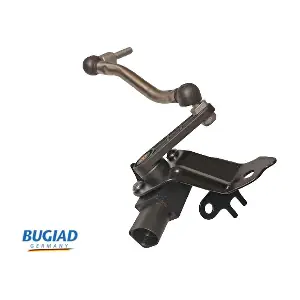BXS19609 BUGIAD