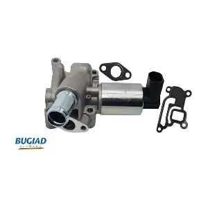 BGR13047 BUGIAD
