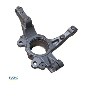 BSP25470 BUGIAD