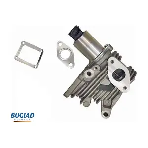 BGR13073 BUGIAD